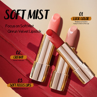 Étui en cuir de luxe, ensemble de 3 rouges à lèvres soyeux effet brume, longue tenue, anti-transfert, fini mat, kit de maquillage nude pour les lèvres, vente en gros