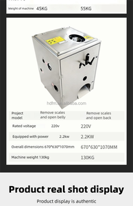 Máquina Desescamadora de Pescado Semiautomática de Acero Inoxidable, Equipo Motorizado para Desescamar Pescado de Forma Eficiente - Product Image 4