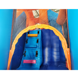 บ้านลมเป่าลม PVC แบบหนาพิเศษ พร้อมสไลเดอร์สองช่องสำหรับเด็ก ติดตั้งง่าย สวนน้ำขนาดเล็ก บ้านลมเป่าลมแบบคอมโบพร้อมบ่อบอล - Product Image 6