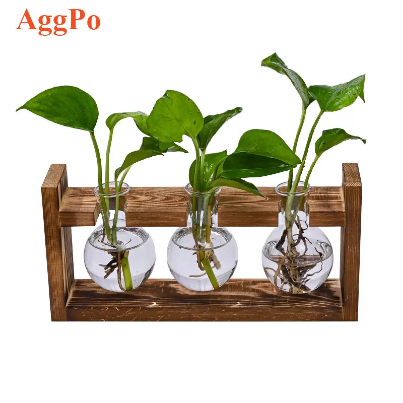 Wandhangende Glazen Plantenbak Modern-Mooi Plantenterrarium Met Houten Standaard-Voor Hydrocultuur Planten Thuistafel Decor