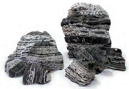 Noir &amp; Blanc DRA-1-014