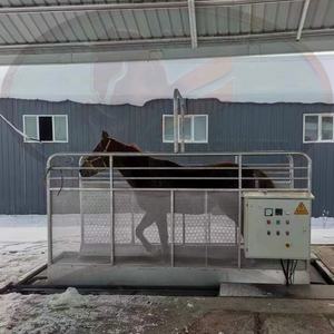 مشاية حصان عالية الأداء من القصب بسرعة قابلة للتعديل - Product Image 1