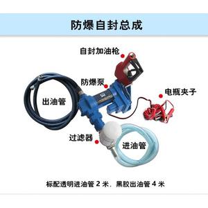 Pompe de distribution diesel/essence auto-amorçante électrique DC portuaire de Wenzhou 12V/24V, norme antidéflagrante - Product Image 5