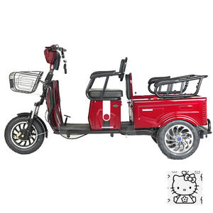 Taille de la roue 14, moteur électrique 250w, batterie 48v, 20ah, x260, vélo de gravier, bicyclette, motocyclette 22, 29 <span class=keywords><strong>2023</strong></span>, vélo électrique - Product Image 2