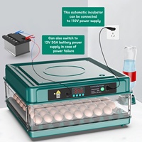 Incubateur de 38 Œufs pour l'Éclosion de Poussins, Machine d'Incubation Entièrement Automatique