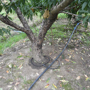 Empêcher les insectes et les termites tuyau de trempage de jardin 10m/20m/40m Agriculture Micro tuyau perméable d'irrigation goutte à goutte - Product Image 2