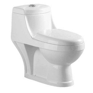 África, india, estilo montado en el piso sanitarios saso aseo cuarto de baño dos pieza agua armario <span class=keywords><strong>Precio</strong></span> de tazón chino Baño - Product Image 2