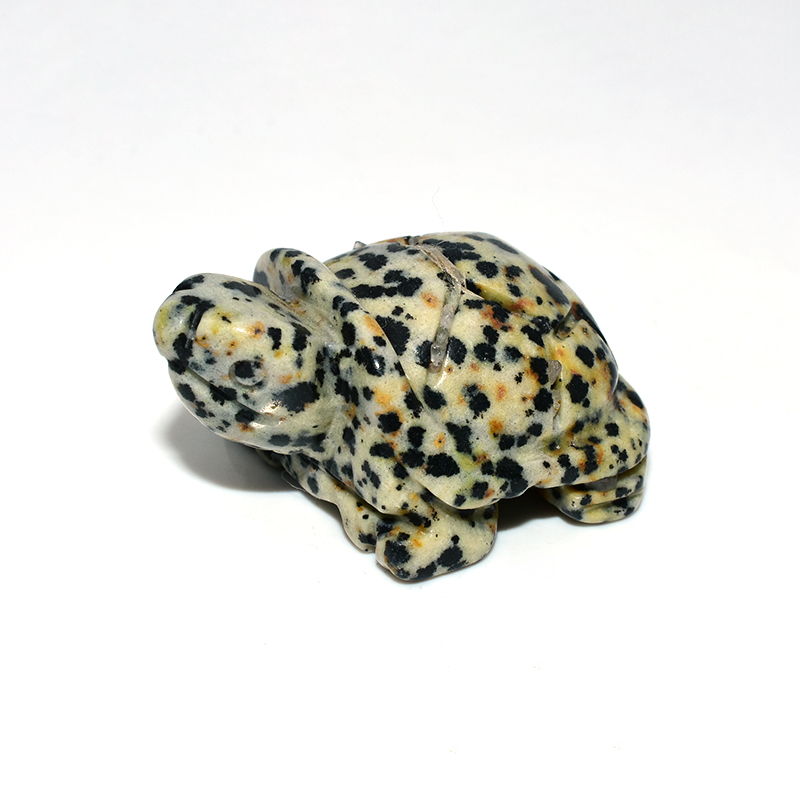 Jaspe dalmatien