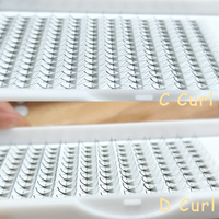 Extensions de cils pré-faits en éventail à base pointue 3D 4D 6D 8D 10D 12D 0.05 0.07mm