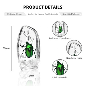 Современный дизайн акрилового столового пресс-папье, образцы настоящих таксидермических насекомых, встроенные в полимерный научный подарок для друзей - Product Image 2