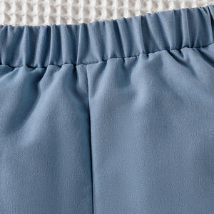 Conjunto de Ropa Casual de Verano para Bebés Niños, 2 Piezas, Chaqueta con Solapa a Rayas y Pantalones Cortos de Color Sólido - Product Image 6