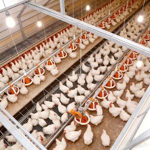 Economical Modern Steel Prefabricated Chicken House <strong>Farm</strong> House Livestock Shed - Product Image 6