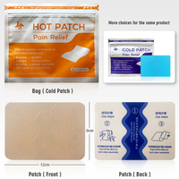 Nouveaux patchs chauffants transdermiques à base de plantes pour soulager la douleur, pour adultes, ciblés pour les genoux, le dos et les muscles, packs chauds et froids