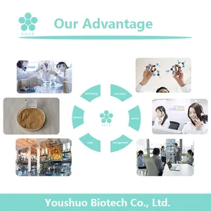 Factory Supply Free Sample Bovine Bone Collagen Peptide Powder