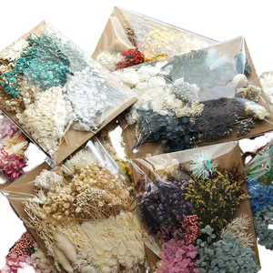 Vente en gros pas cher prix bricolage fleurs sèches matériel sac réel naturel séché eucalyptus bougie parfumée faisant Nail Art cadre photo - Product Image 1