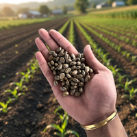 Castorzaad voor oliewinning |   Hoge olieproductie 48-52% |   Ricinus communis |   Bulkexport India