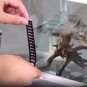 어조 온도계 온도 민감 색상 변경 접착제 온도계 수족관 수온 온도계 - Product Image 3