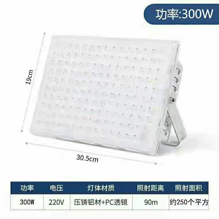 Lumière blanc fourmi 300W