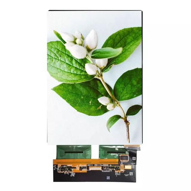 transparent screen display oled 11 inch OLED display 1728*2368 high resolution 385 nits brightness oled module