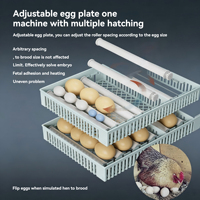 Incubadora de 24 Huevos Totalmente Automática con Control Digital, Volteo Automático, Doble Fuente de Alimentación de Respaldo, Plástico ABS + Cubierta de PC para Aves de Corral, Granjas y Uso Doméstico