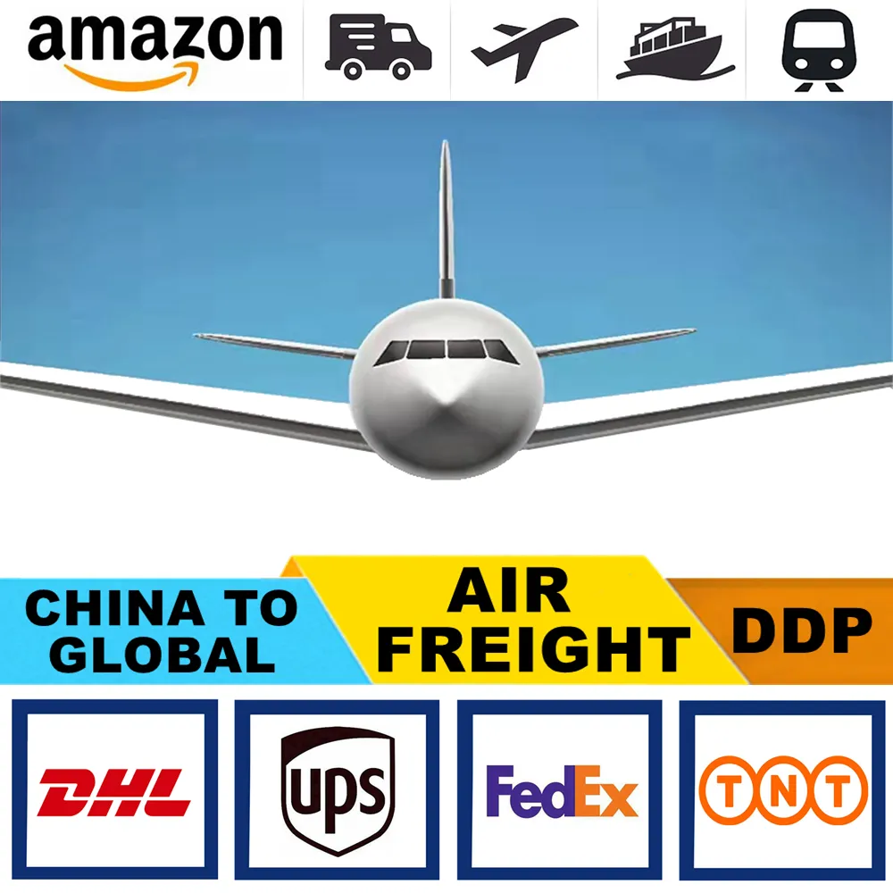 The most professional freight forwarder from China to Thailand/Cambodia by land or air, door to door service