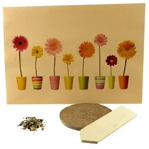 Kit de semis en sachet, gadgets écologiques pour le jardinage - Product Image 1