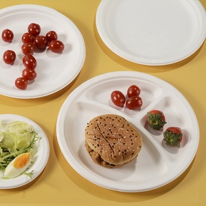 Assiettes jetables écologiques, biodégradables et compostables en bagasse de papier, 6, 7, 9, 10 pouces, 1 et 3 compartiments, pour fêtes et voyages - Product Image 4