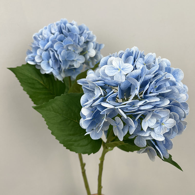 Bleu clair