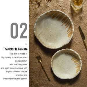 Fábrica al por mayor restaurante japonés Irregular Pasta platos porcelana cerámica <span class=keywords><strong>Sushi</strong></span> cena plato para Hotel Catering - Product Image 4