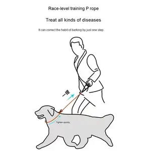 Venta directa del fabricante, cadena P, grado <span class=keywords><strong>de</strong></span> carreras, nailon sólido, cuerda <span class=keywords><strong>de</strong></span> remolque para mascotas para <span class=keywords><strong>cachorros</strong></span>, decoración <span class=keywords><strong>de</strong></span> cinta para <span class=keywords><strong>perros</strong></span> pequeños, medianos y grandes - Product Image 2