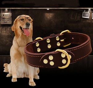 Großhandel Kuhle der Hunde halsband Verstellbares Training Haustier halsband Hochwertiges taktisches Hunde halsband Haustier zubehör Haustier zubehör - Product Image 5
