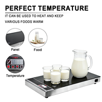 Kommerzielle Speisenwärmeplatte FY-T53-D 250W Elektrisch Isolierte Speisenwärmeplatte 610x325mm mit Timer für Buffet und Restaurant
