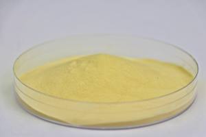 Suministro al por Mayor <span class=keywords><strong>de</strong></span> Polvo <span class=keywords><strong>de</strong></span> Bacillus Coagulans Liofilizado <span class=keywords><strong>de</strong></span> Grado Alimenticio, Ideal para <span class=keywords><strong>la</strong></span> Regulación <span class=keywords><strong>de</strong></span> <span class=keywords><strong>la</strong></span> <span class=keywords><strong>Flora</strong></span> <span class=keywords><strong>Intestinal</strong></span> - Product Image 2