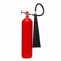 Extincteur portable au CO2 pour incendies de classe BC de la marque Howdy Firefighting Supplier