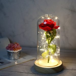 Regali per la Festa della Mamma e Compleanni LUYI: Rosa Rossa Incantata Sotto Cupola di Vetro con Luce LED, Decorazione per Casa e Ufficio - Product Image 1