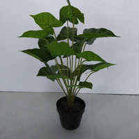 Petit bonsaï en soie artificielle, feuille de Colocasia Taro, 50 cm, pour décoration de table de mariage, maison, bureau