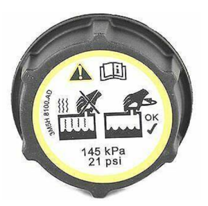 ที่ครอบถังน้ำรูป Frozene สำหรับรถฟอร์ดโฟกัส Mazda1224233 - Product Image 4