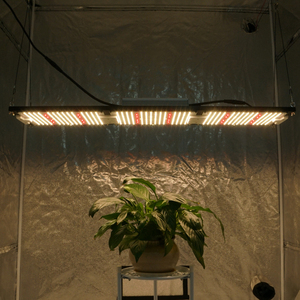 2025 mới nhất kingbrite 320 wát LED 288 Board lm301h mix XP-E2/XP-G3 660nm Đỏ phát triển ánh sáng - Product Image 4