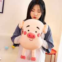 Oreiller en peluche rond rose personnalisé OEM ODM, coussin en peluche de cochon de dessin animé avec logo personnalisé, jouet en peluche cochon kawaii en gros