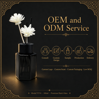 Diffuseur de parfum sans flamme pour voiture, à base d'extraits végétaux naturels, en verre et bois, longue durée, sans danger pour les bébés, vente en gros
