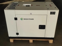 BS Power 15KW 20 KW 30KW Dual Fuel Generator Set Benzin LPG NG CNG Gasgenerator