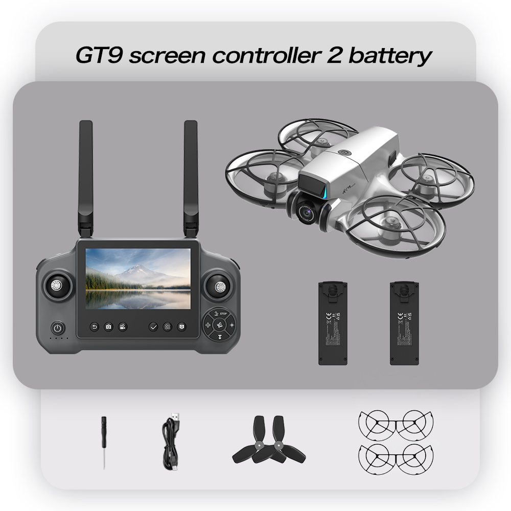 Double batterie grise