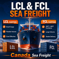 Chine vers Canada DDP Fret maritime LCL+Express Porte-à-Porte Agent d'expédition Taxe et assurance incluses Service logistique 30-45 jours