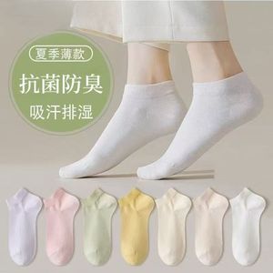 Women's Ankle Socks Cotton Solid Color Seamless Sweat Absorbent Spring Summer Autumn Casual Wear - Product Image 3