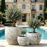 Jardinières de sol de luxe en ciment vintage européennes, écologiques et durables, pour la plantation d'oliviers, pots de fleurs d'extérieur pour villas et jardins