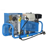 Compresseur d'air à essence Ayon 200-300 bars pour la plongée sous-marine et la lutte contre les incendies, produit de sécurité SCBA, connecteur de remplissage en option