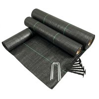Toile de paillage robuste en PP pour la protection des terres agricoles et des vignobles