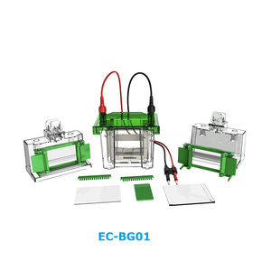 خزان كهربائي من الجل المخبري المصنوع في الصين لوضع اللطخة الغربية وتحليل البروتين في المختبرات - Product Image 1