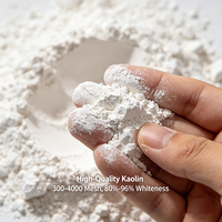 Metakaolin, argile de kaolin calciné pour béton, ciment, matériau pozzolana de haute résistance, fournisseur de qualité construction
