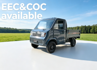Mini camionnette électrique EEC 3000W 72V 100Ah haute puissance avec contrôleur 36 tubes et essieu arrière à changement de vitesse intégré